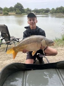 Mirror Carp