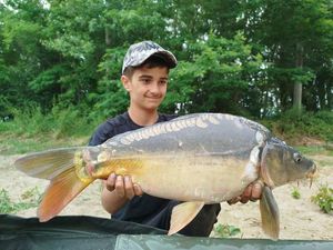 Mirror Carp