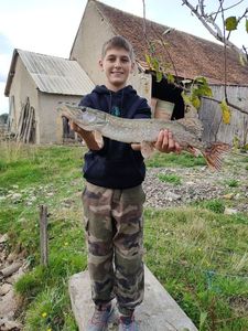 Northern Pike