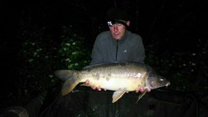 Mirror Carp