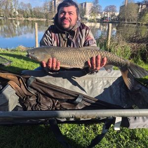 Grass Carp