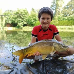 Mirror Carp