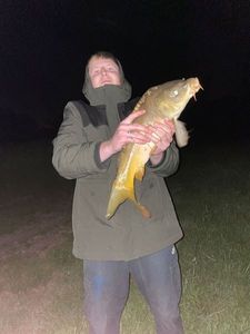 Mirror Carp
