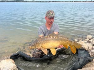 Common Carp