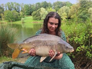 Mirror Carp