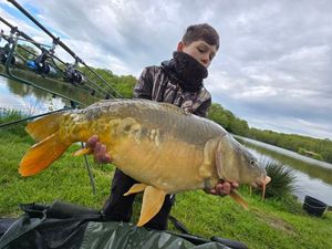 Common Carp