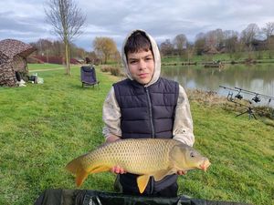 Common Carp