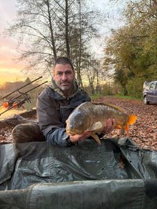 Mirror Carp