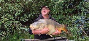 Mirror Carp