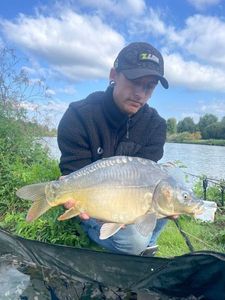 Mirror Carp