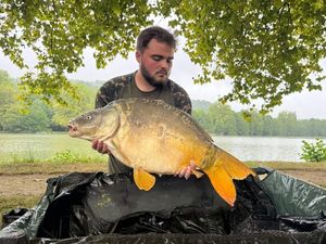 Mirror Carp