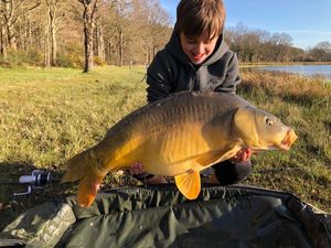 Mirror Carp
