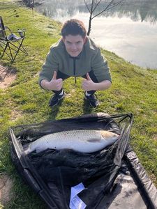 Grass Carp