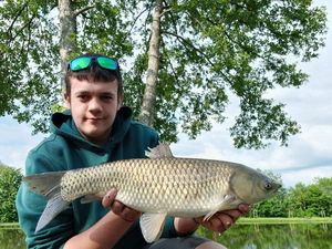 Grass Carp