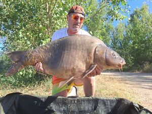 Mirror Carp