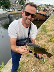 Largemouth Bass