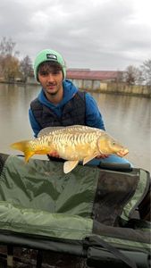 Leather Carp