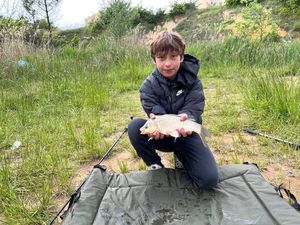 Common Carp