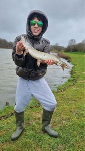 Northern Pike
