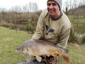 Mirror Carp