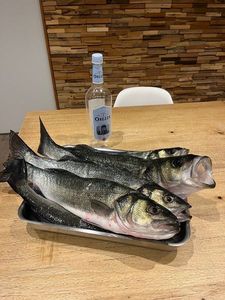 European Bass (Seabass)