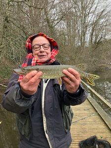 Northern Pike
