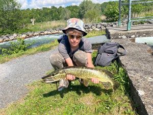 Northern Pike