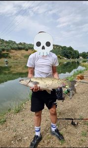 Grass Carp