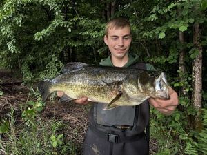 Smallmouth Bass