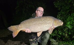 Common Carp