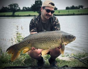 Common Carp