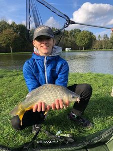 Common Carp