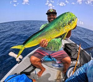 Dolphinfish