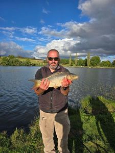 Mirror Carp