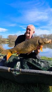 Mirror Carp