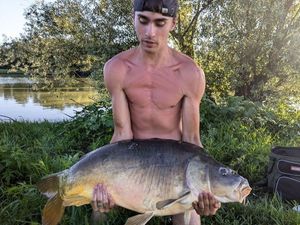 Mirror Carp