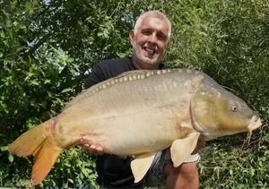 Mirror Carp