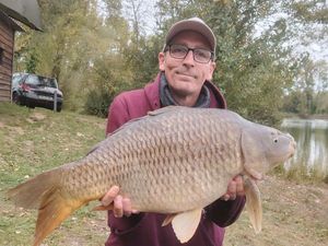 Common Carp