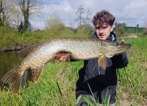 Northern Pike