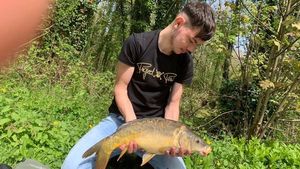 Mirror Carp