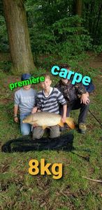 Common Carp
