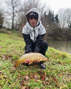 Common Carp