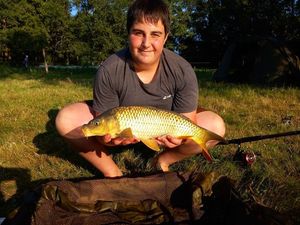 Common Carp