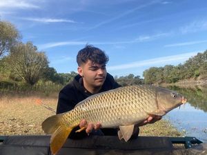 Common Carp