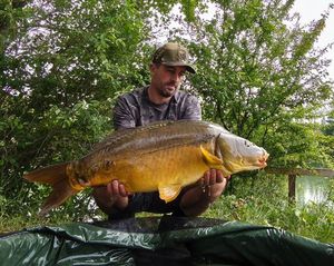 Mirror Carp