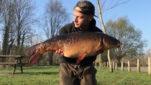 Mirror Carp