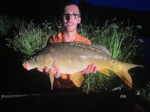 Mirror Carp