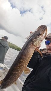 Northern Pike