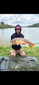 Mirror Carp