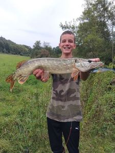 Northern Pike